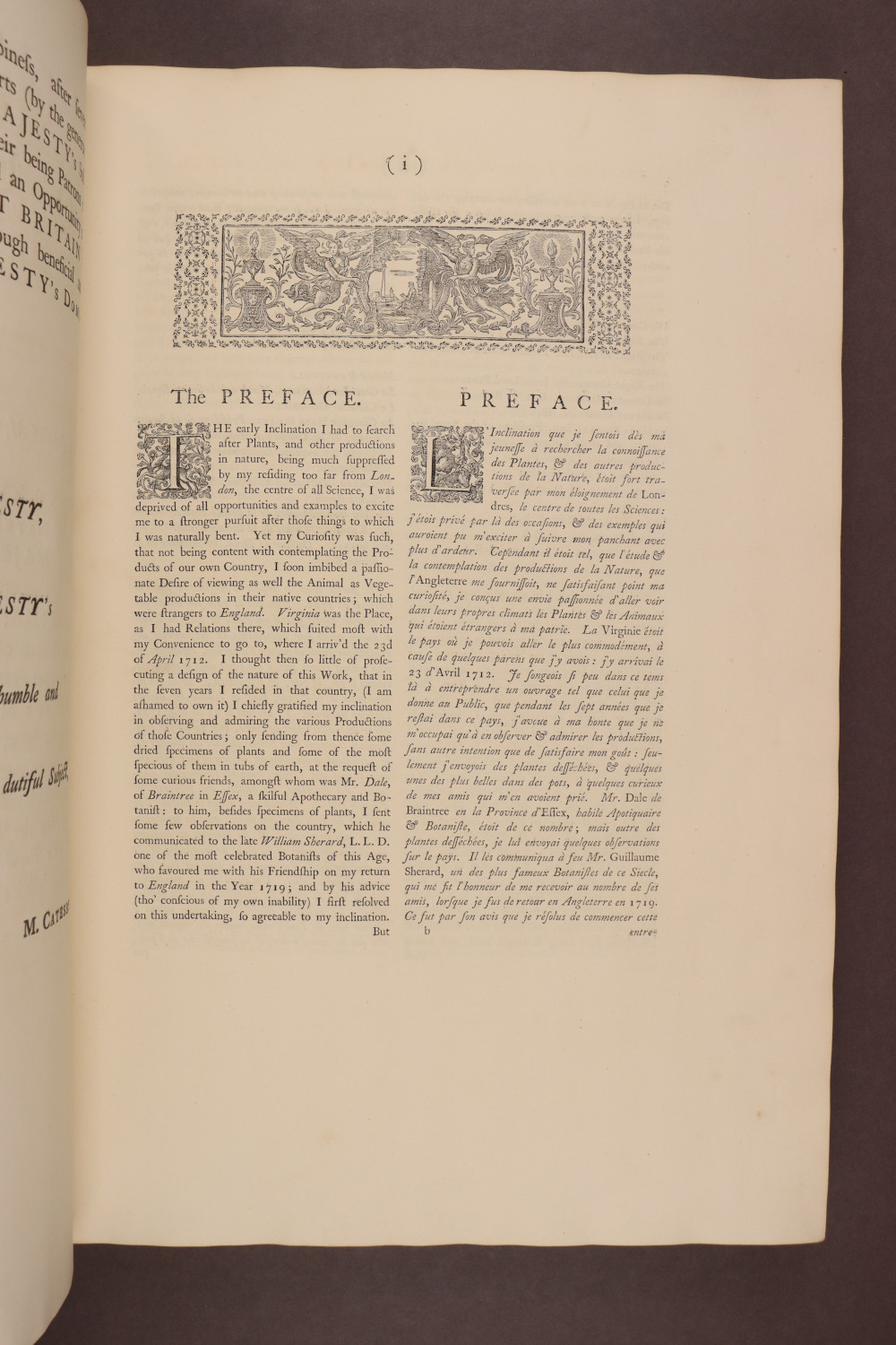 Page i